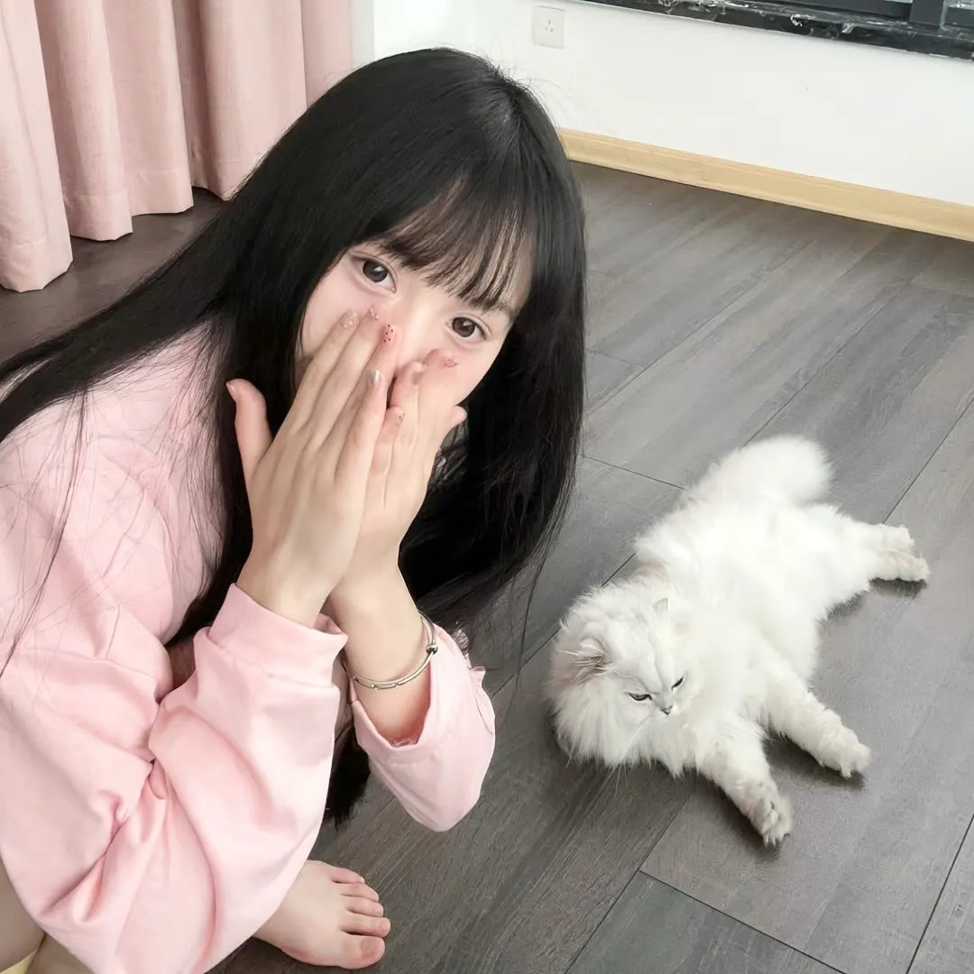 大熊猫传奇